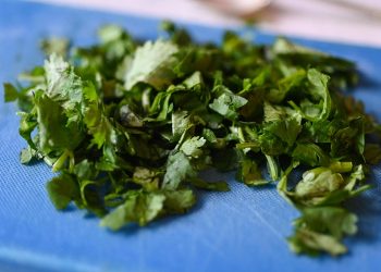 Chopped cilantro on a blue cutting board for garnish.