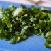 Chopped cilantro on a blue cutting board for garnish.