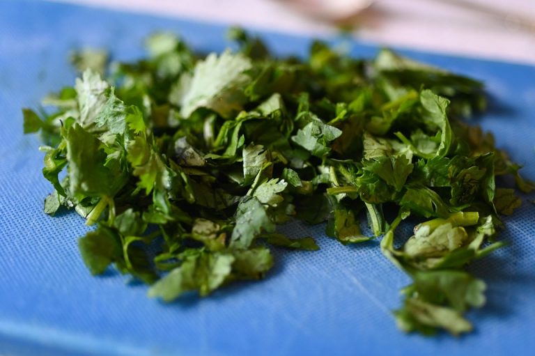 Chopped cilantro on a blue cutting board for garnish.