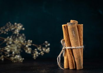 Cinnamon sticks tied with twine on dark background.