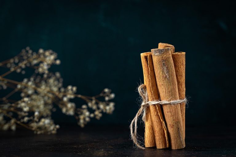Cinnamon sticks tied with twine on dark background.