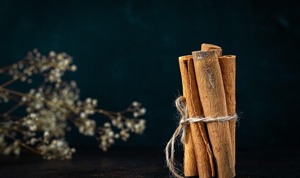 Cinnamon sticks tied with twine on dark background.