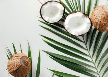 Open coconuts on palm leaves with fresh coconut meat.