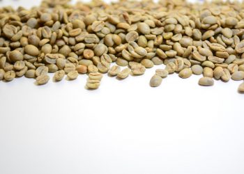 Unroasted coffee beans scattered on white background.