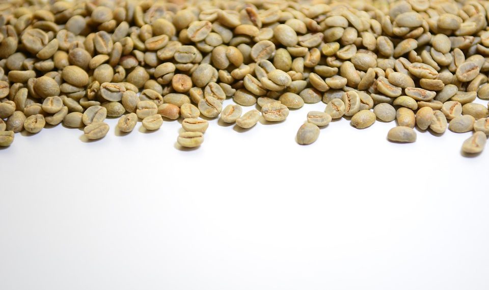 Unroasted coffee beans scattered on white background.