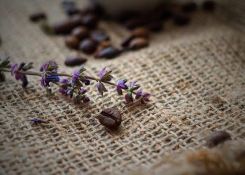 Lavender sprig and coffee beans on burlap sack surface.