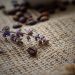 Lavender sprig and coffee beans on burlap sack surface.