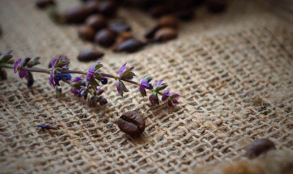 Lavender sprig and coffee beans on burlap sack surface.