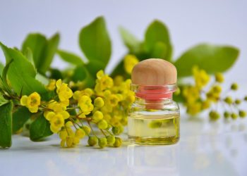 Yellow flowers and essential oil in a glass bottle with wooden cap.
