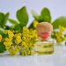 Yellow flowers and essential oil in a glass bottle with wooden cap.