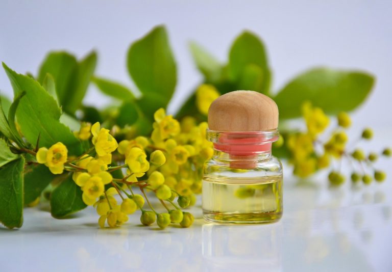 Yellow flowers and essential oil in a glass bottle with wooden cap.