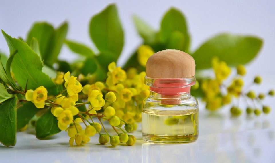 Yellow flowers and essential oil in a glass bottle with wooden cap.