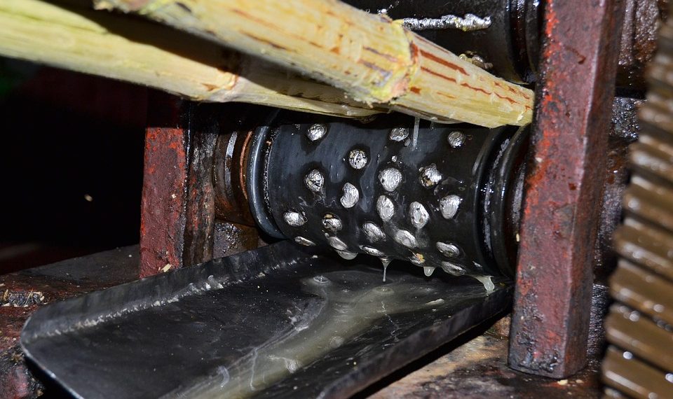 Sugarcane pressed through mechanical roller extracting juice.