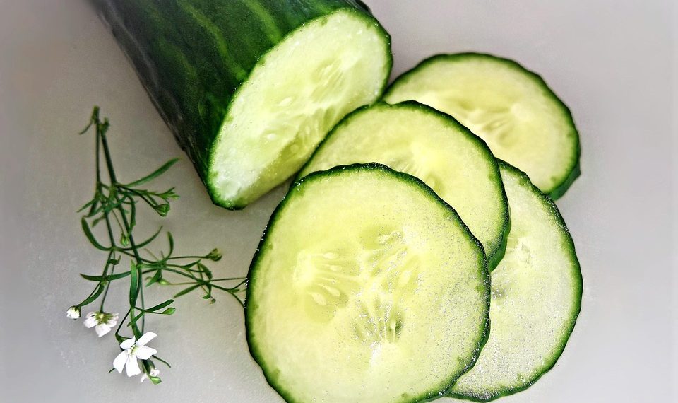 Sliced cucumber with flowers on a white background.