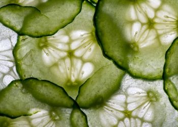 Sliced fresh cucumber close-up with intricate seed patterns.