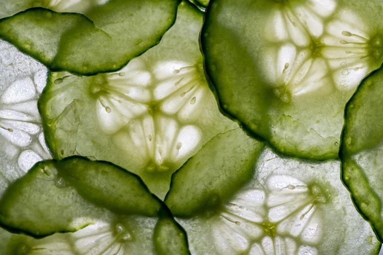 Sliced fresh cucumber close-up with intricate seed patterns.