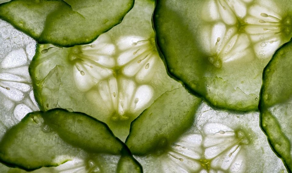 Sliced fresh cucumber close-up with intricate seed patterns.