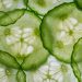 Sliced cucumber texture showcasing fresh green patterns.