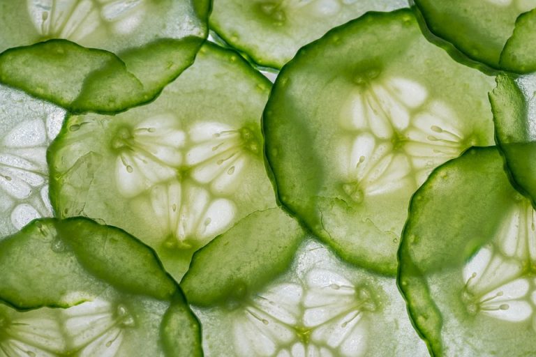 Sliced cucumber texture showcasing fresh green patterns.