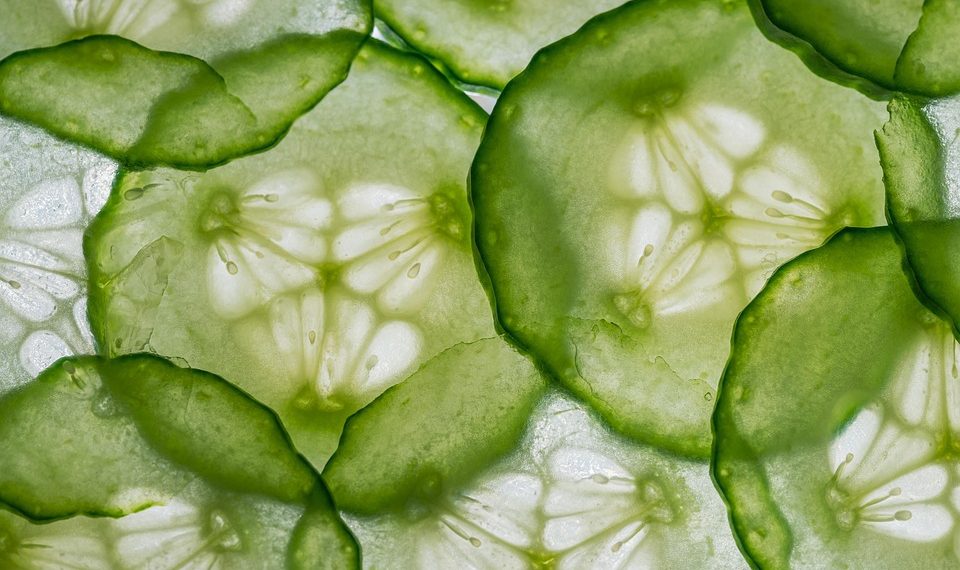 Sliced cucumber texture showcasing fresh green patterns.