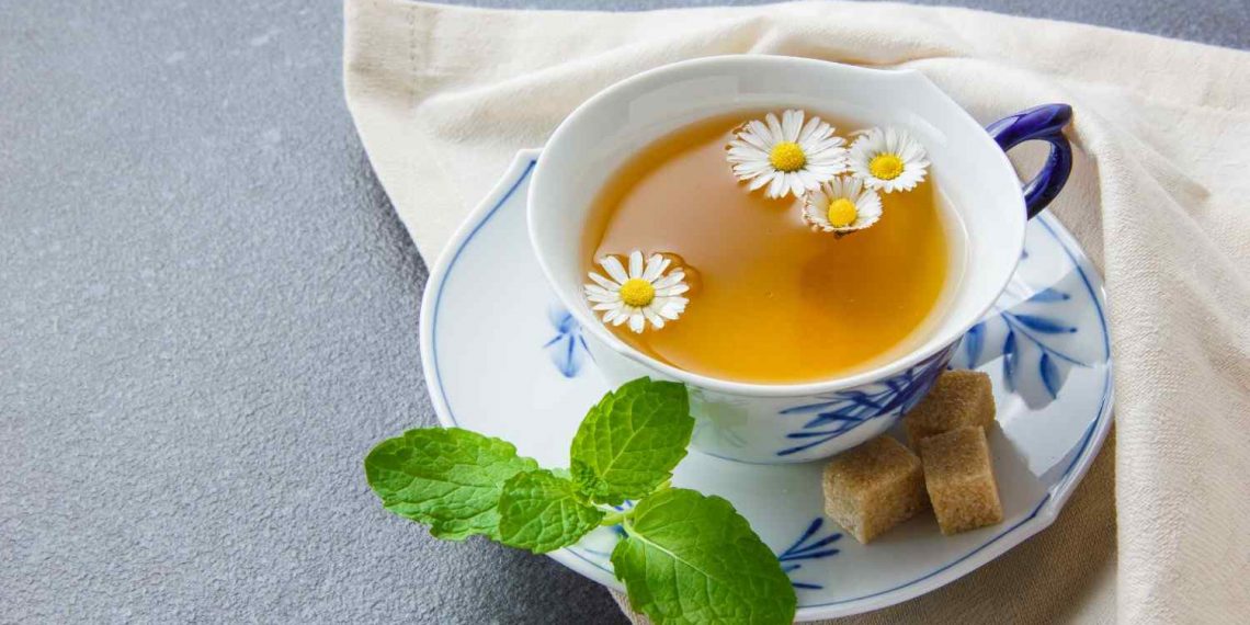 Chamomile tea with fresh mint and sugar cubes on a saucer.