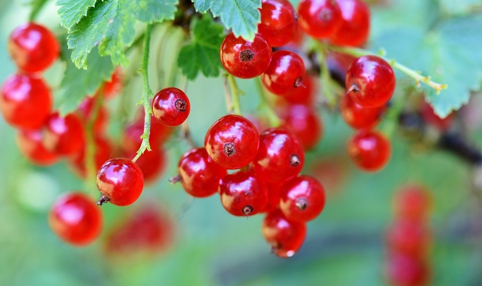 Balancing nutrition and bladder health in eating disorder recovery