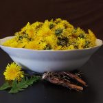 Bowl of fresh dandelions with roots on a dark table.
