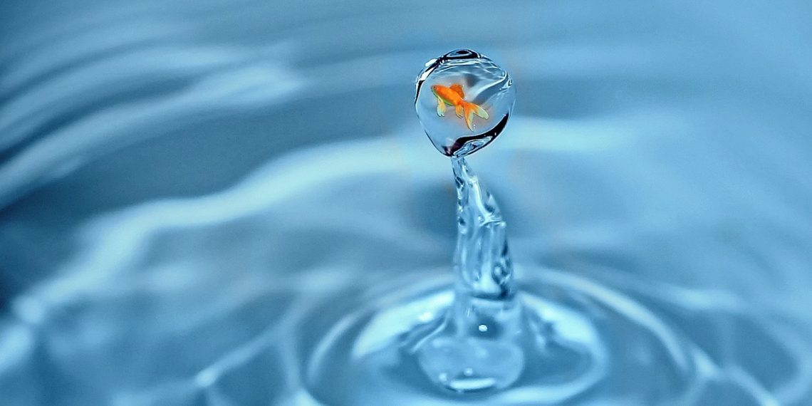 Goldfish inside a suspended water droplet against rippling blue background.