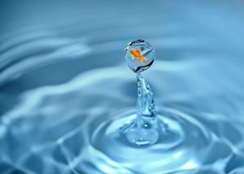 Goldfish inside a suspended water droplet against rippling blue background.