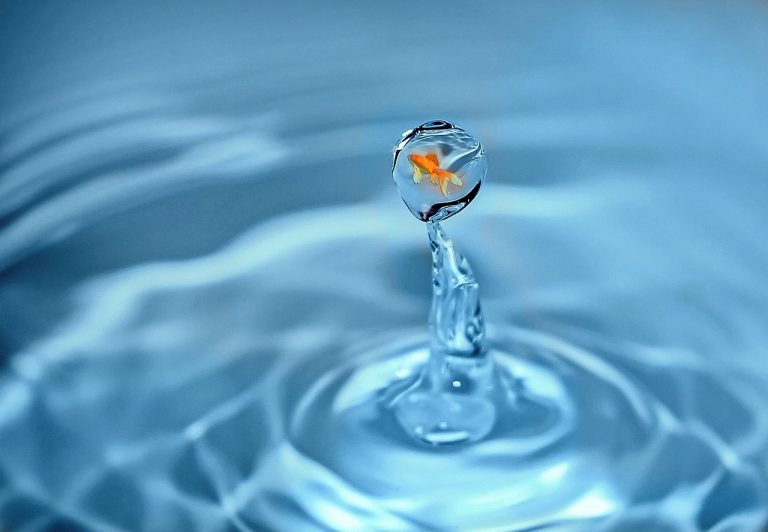Goldfish inside a suspended water droplet against rippling blue background.