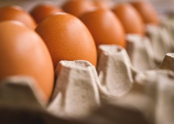 Brown eggs nestled in a carton tray, close-up view.