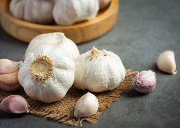 Whole garlic bulbs and cloves on a rustic cloth.