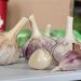 Garlic cloves on a kitchen counter for cooking.