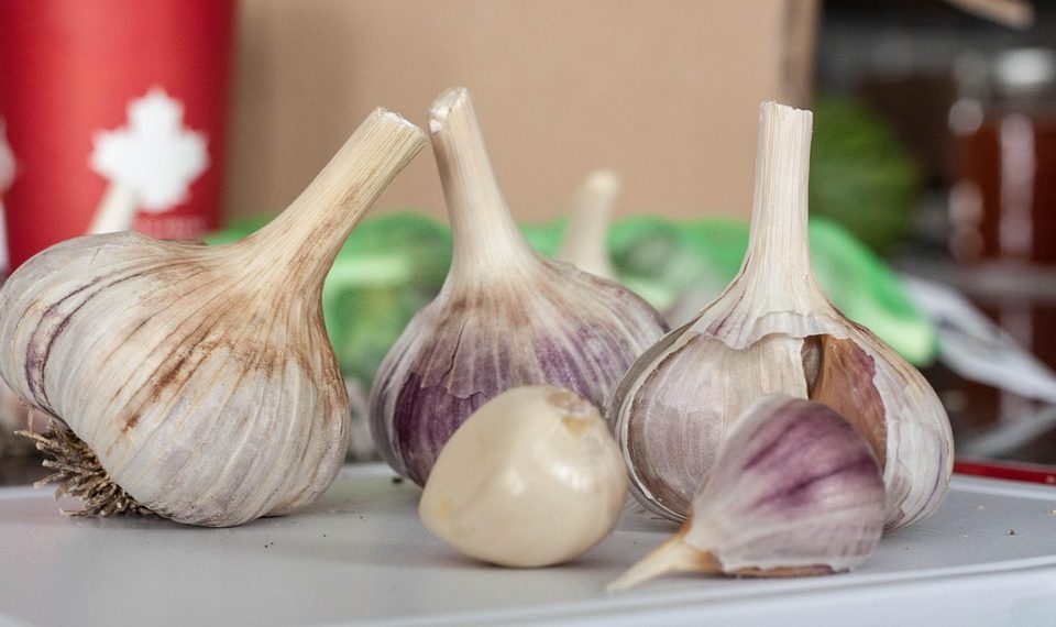 Garlic cloves on a kitchen counter for cooking.
