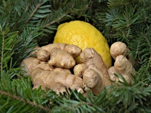 Fresh ginger and lemon surrounded by green pine branches.