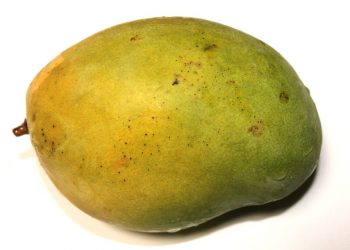 Ripe mango with green and yellow skin.