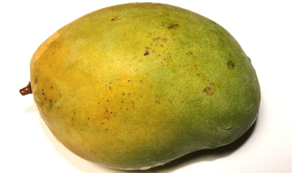 Ripe mango with green and yellow skin.