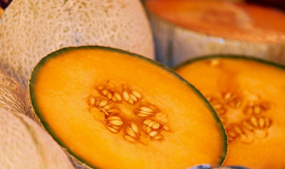 Nutrition benefits of eggs