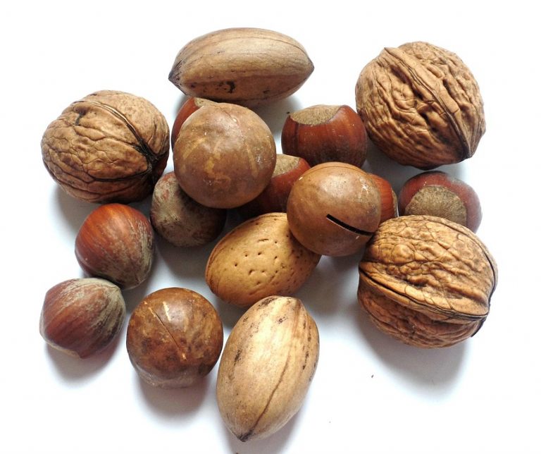 Various nuts including walnuts and almonds on a white background.