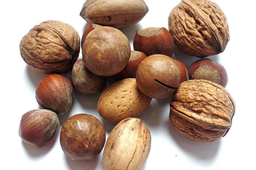 Various nuts including walnuts and almonds on a white background.