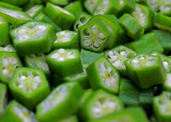 Sliced green okra pieces arranged closely together.