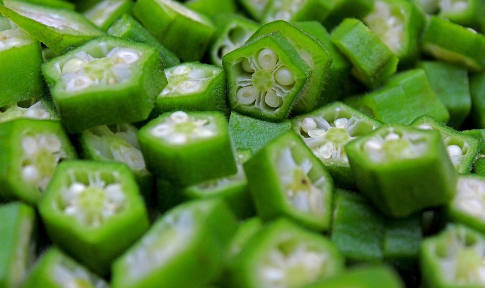Sliced green okra pieces arranged closely together.