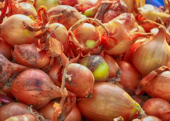 Fresh onions piled together at a market.