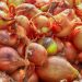 Fresh onions piled together at a market.