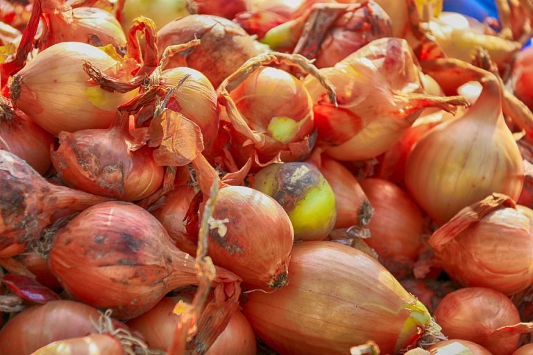 Fresh onions piled together at a market.