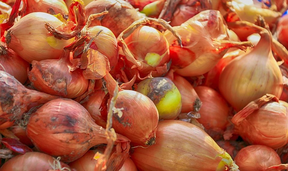 Fresh onions piled together at a market.