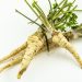 Fresh parsnips with green tops on a white background.