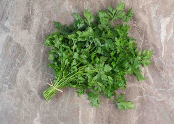 Fresh parsley bundle on a marble countertop.