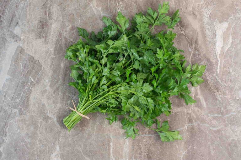 Fresh parsley bundle on a marble countertop.