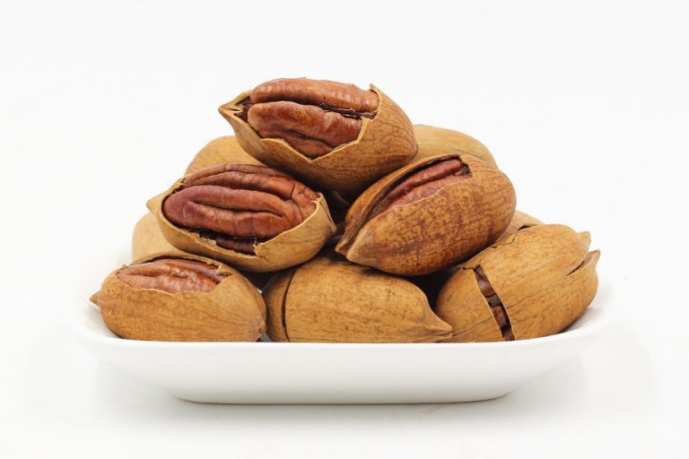 Pecans in shells stacked on a white plate.